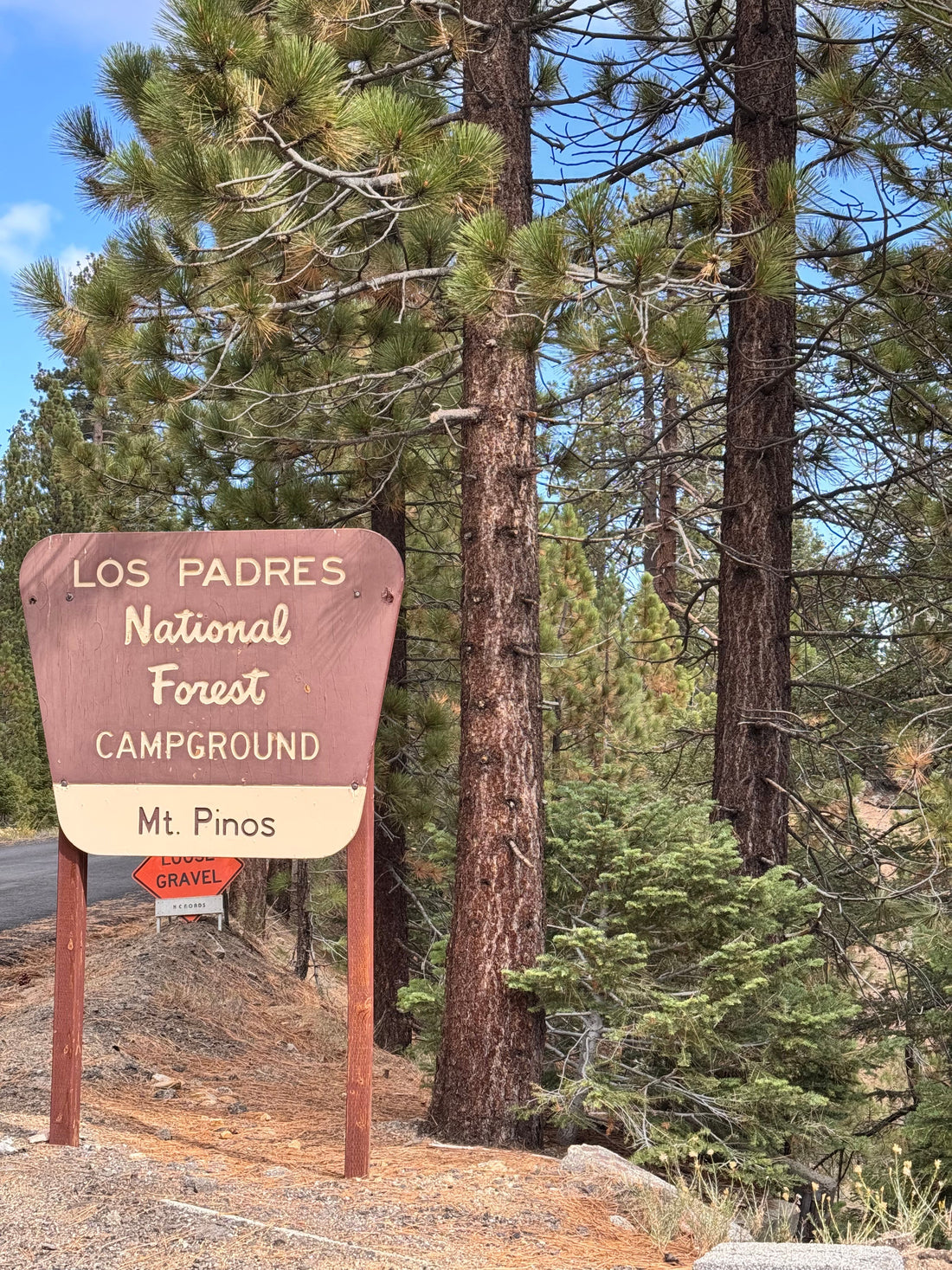 Mt. Pinos Campground🏕️